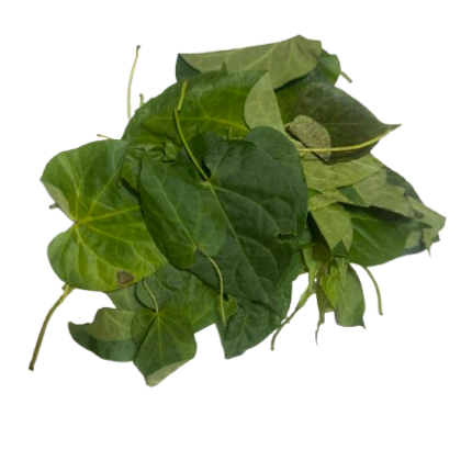 Utazi Leaf